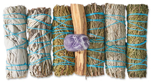 The Different Types of Sage