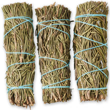 Rosemary Sage 4-Inch Wholesale